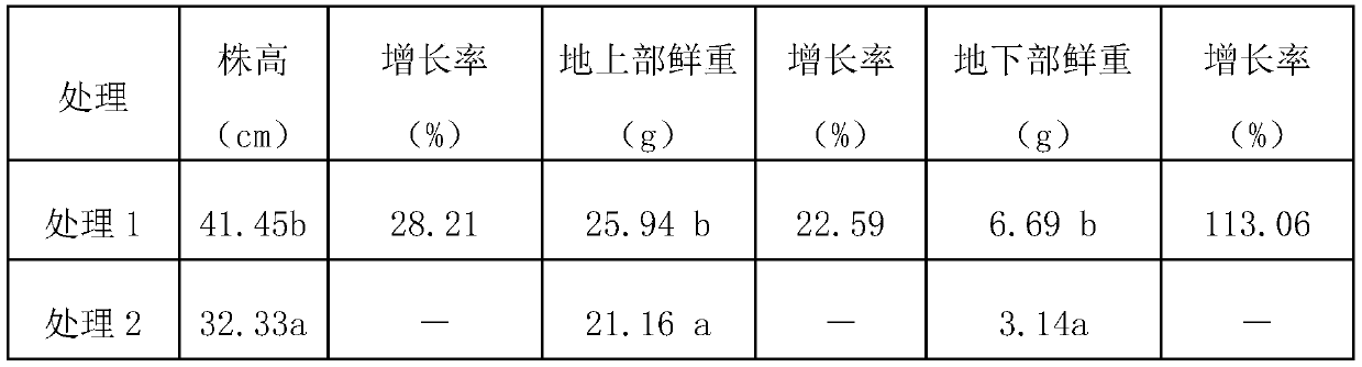 Bacillus amyloliquefaciens capable of degrading inorganic phosphorus and inhibiting bacteria and its application