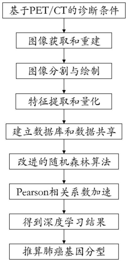 An Algorithm for Inferring Lung Cancer Genotyping Using PET/CT Images