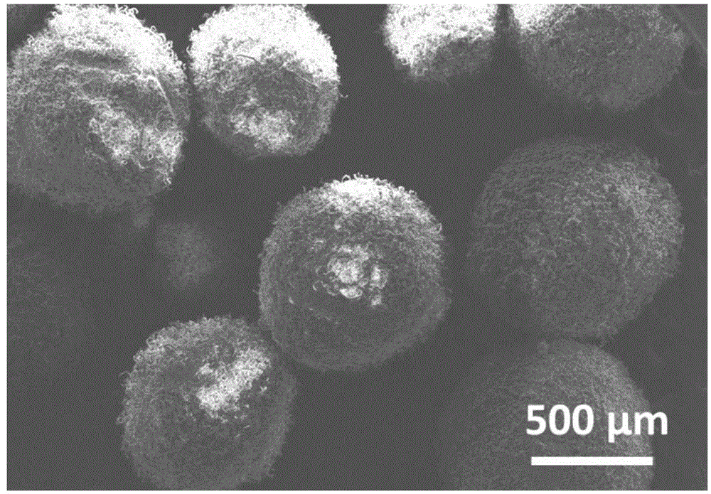 Ultrahigh-molecular-weight isotactic polypropylene resin for 3D printing, preparation method and application thereof