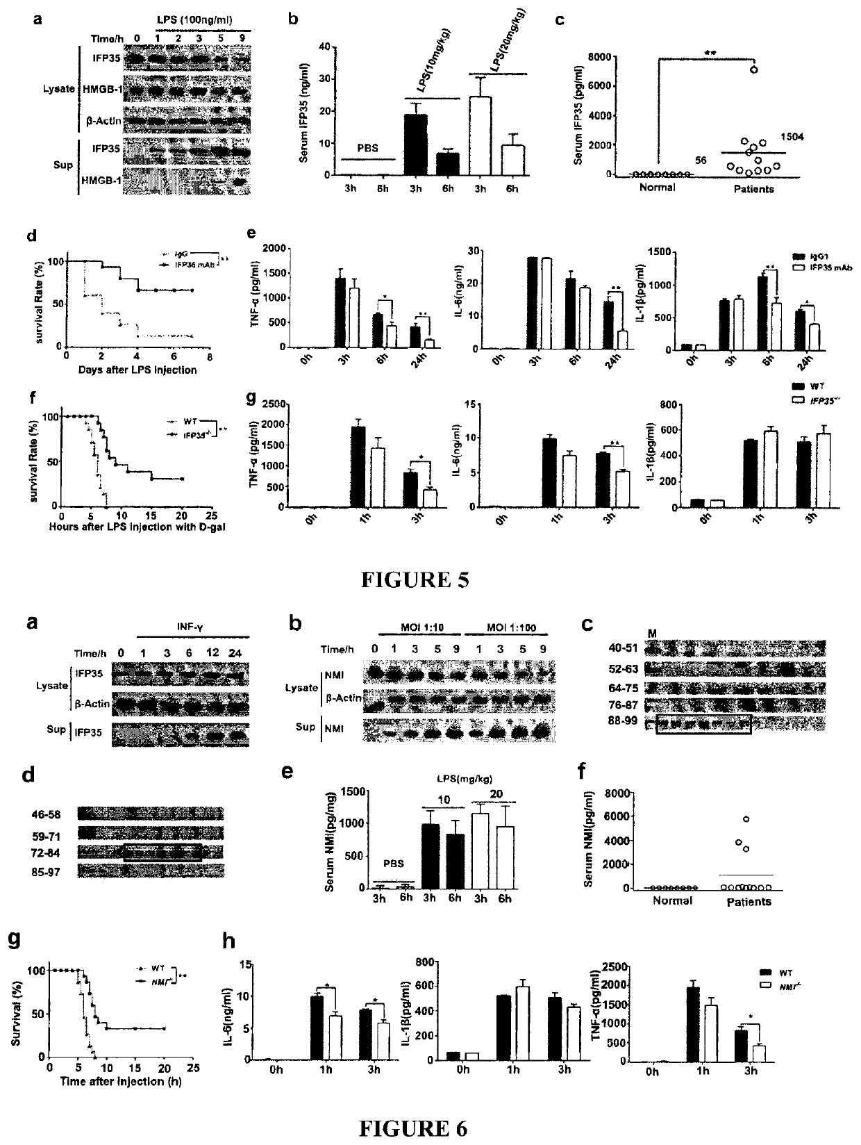 Methods and compositions for treating and/or preventing a disease or disorder associated with abnormal level and/or activity of the IFP35 family of proteins