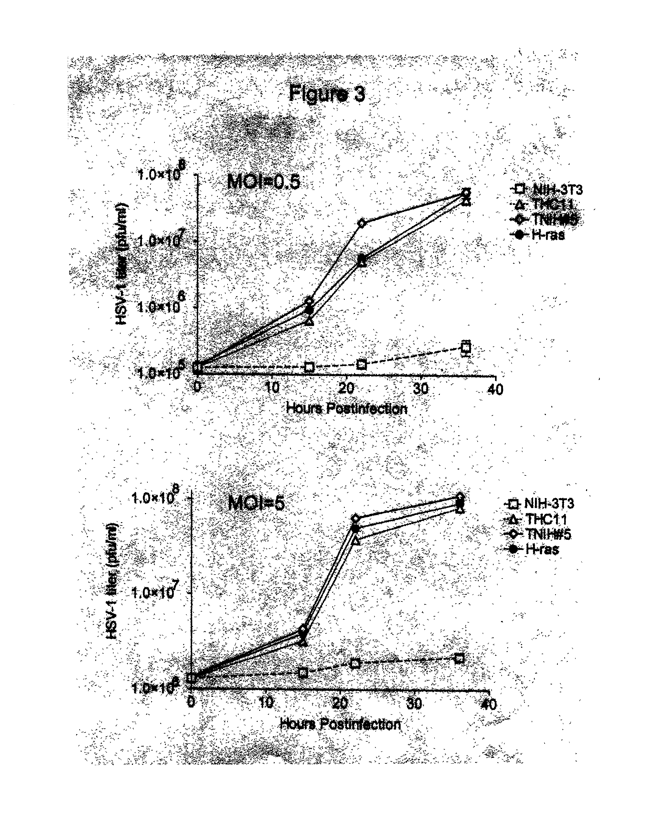 Diagnosis and treatment of herpes infections