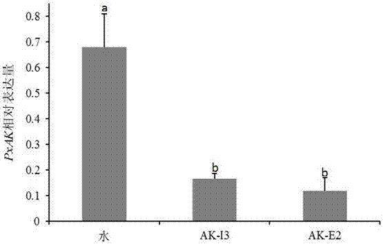 Method for suppressing insect gene expression by short single-stranded DNA