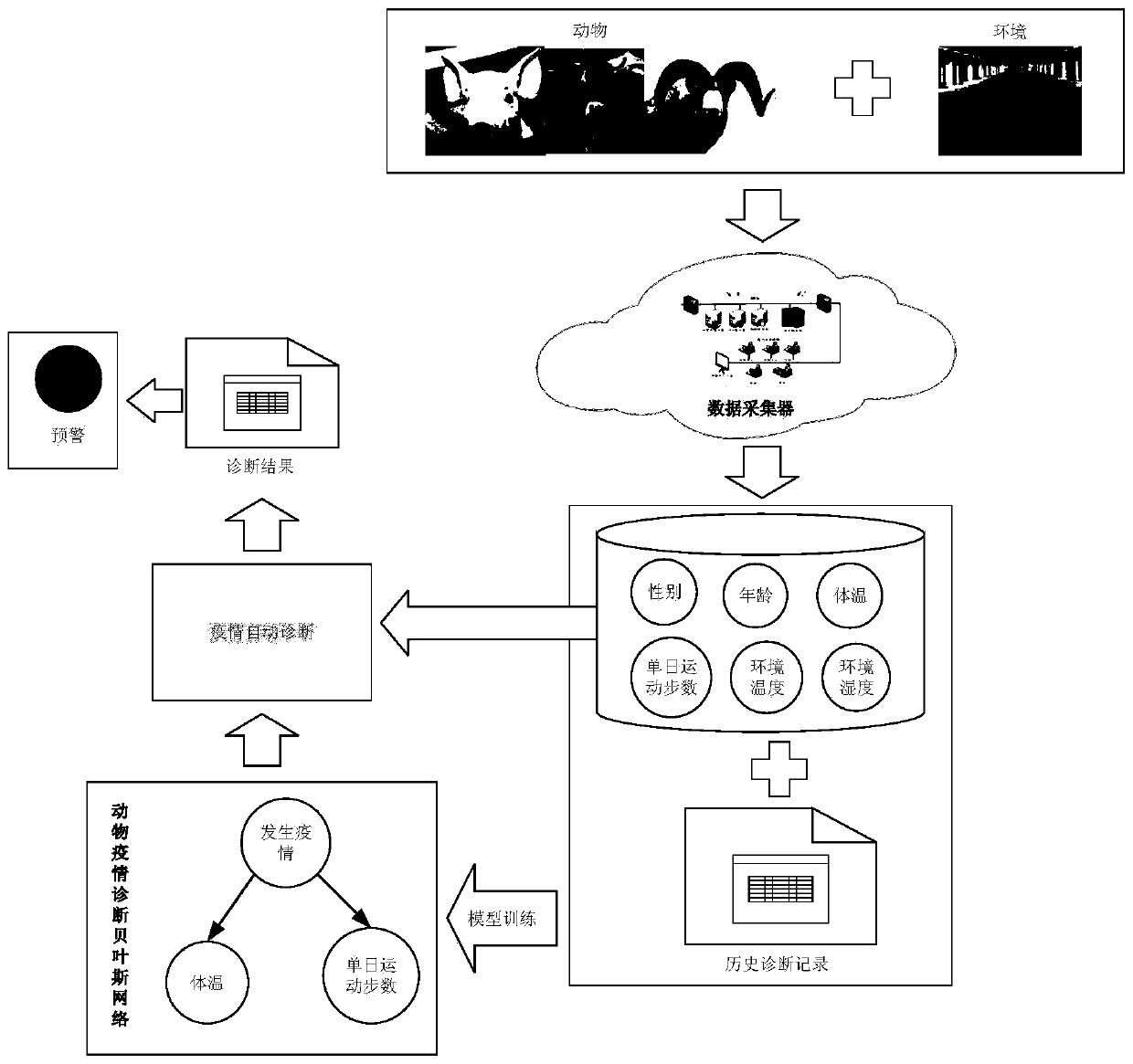 Animal epidemic situation diagnosis method based on Bayes network and system