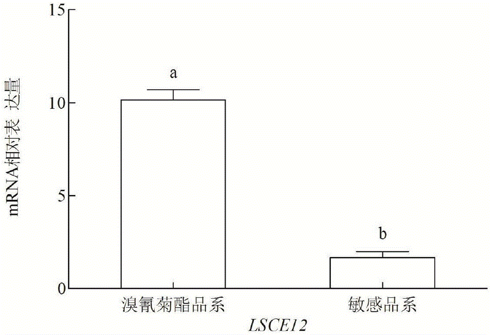 Small brown rice planthopper drug-resistant carboxylesterase gene LSCE12, gene segment for lowering drug resistance of small brown rice planthoppers and application thereof