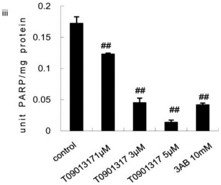 Application of T0901317 serving as PARP1 inhibitor