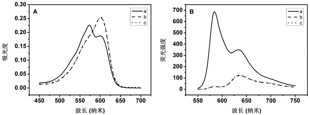 High-sensitivity DNA fluorescent analysis method based onmorpholine oligonucleotide functionalized magnetic microballoon