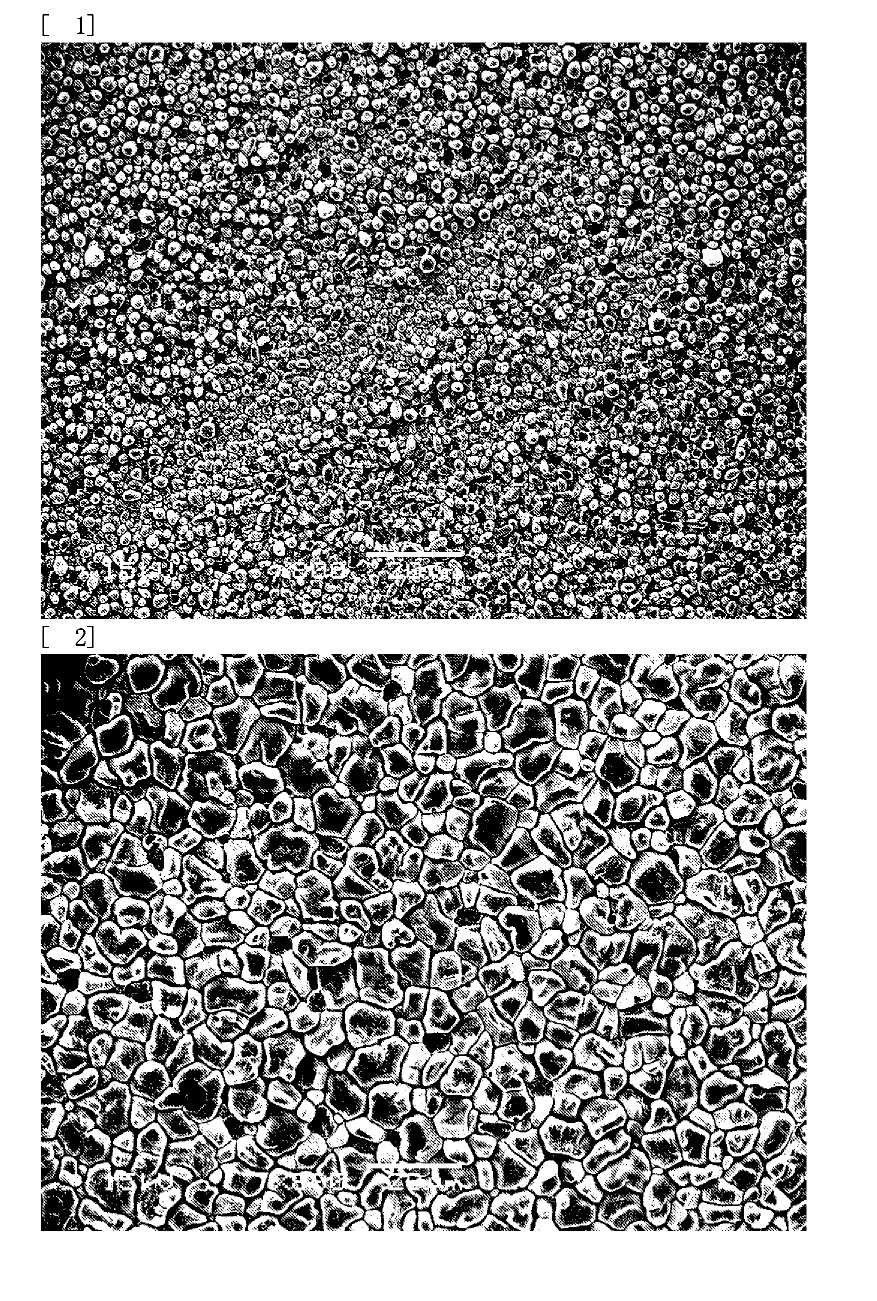 Lead-free solder alloy