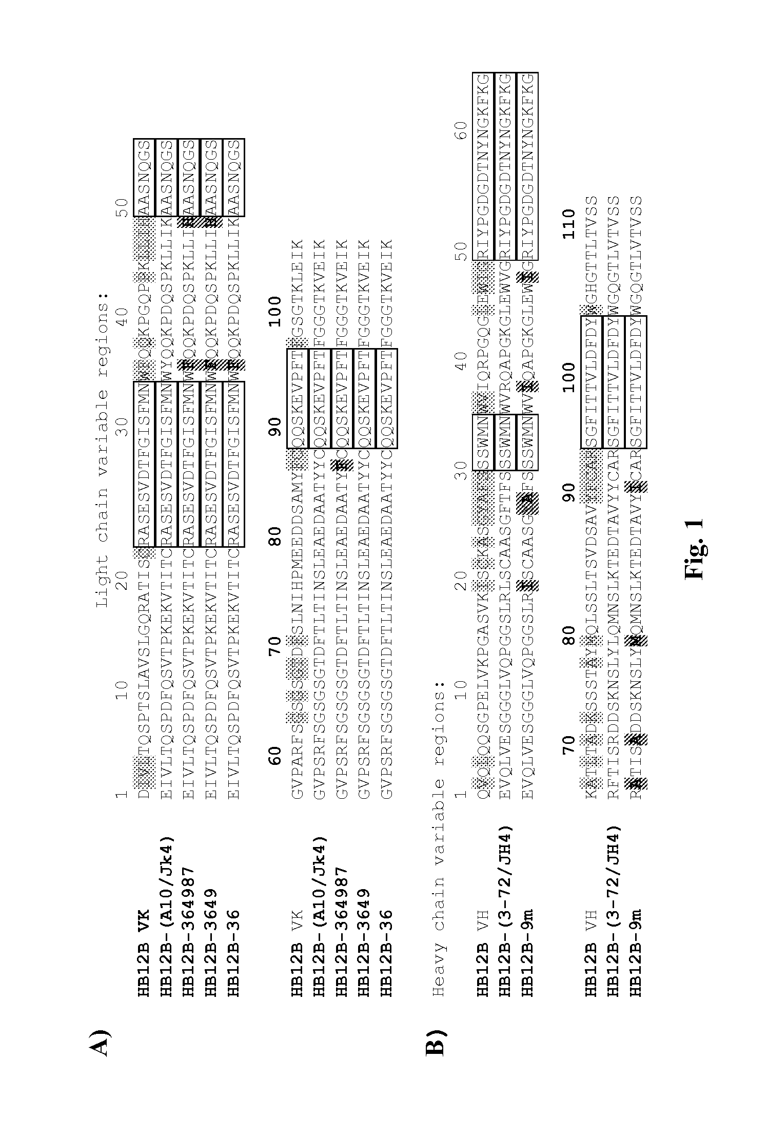 Humanized Anti-cd 19 antibody formulations