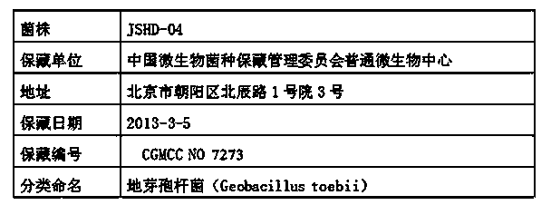 Biological bactericide for preventing and controlling SRB (sulfate reducing bacteria) in high-temperature water body and SRB inhibition method of bactericide