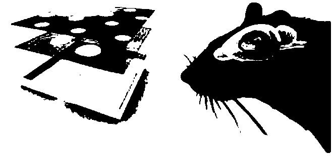 Robot situational cognitive map constructing and navigating method based on mouse brain location cells