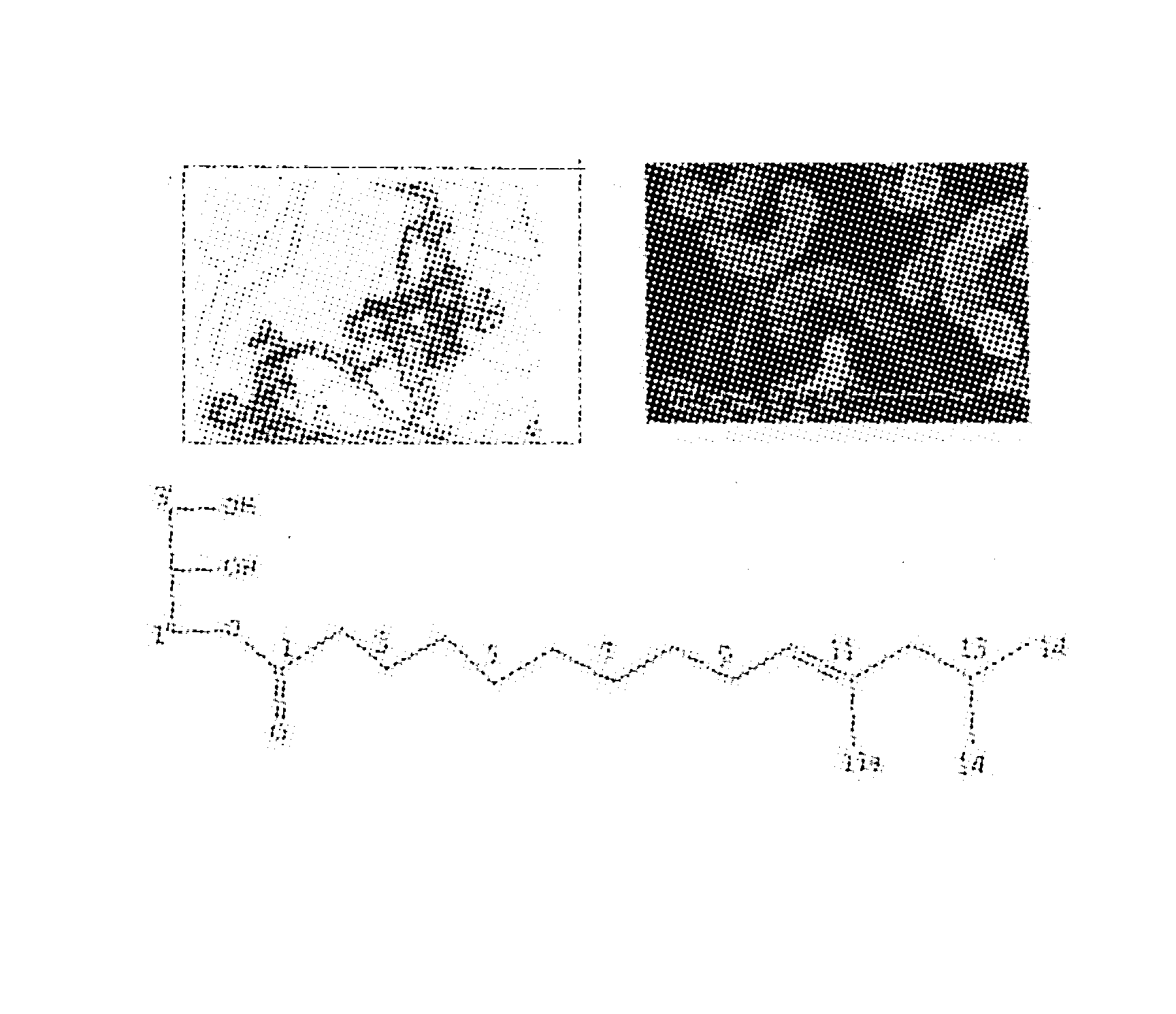 A insecticide and its application