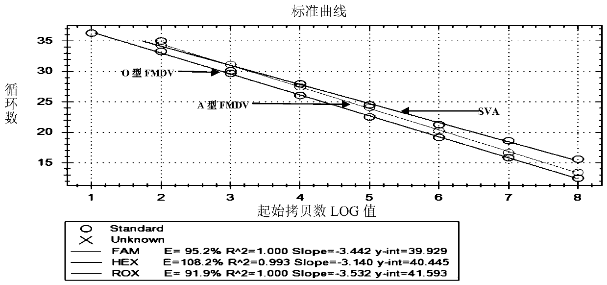 One-step triple real-time fluorescent quantitative PCR detection primer and probe for SVA, type O FMDV and type A FMDV