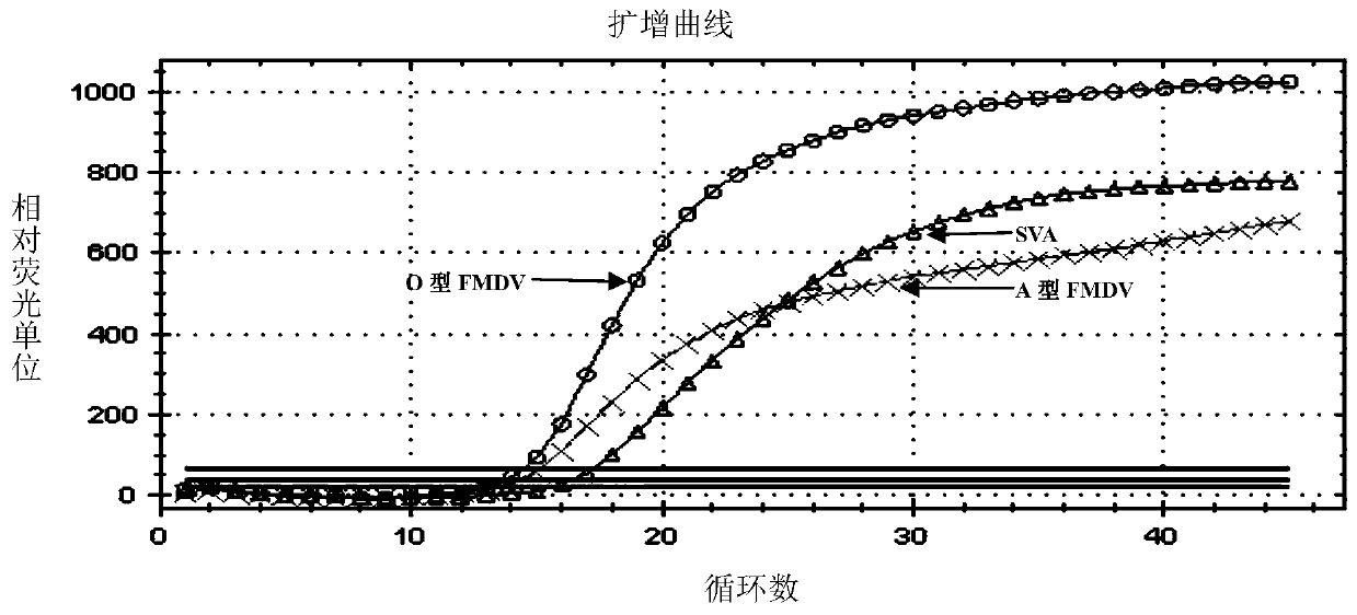 One-step triple real-time fluorescent quantitative PCR detection primer and probe for SVA, type O FMDV and type A FMDV