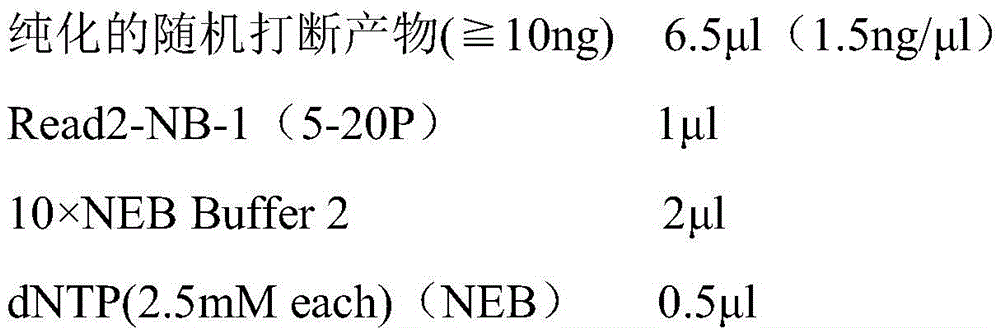 DNA sequencing method and next generation sequencing library