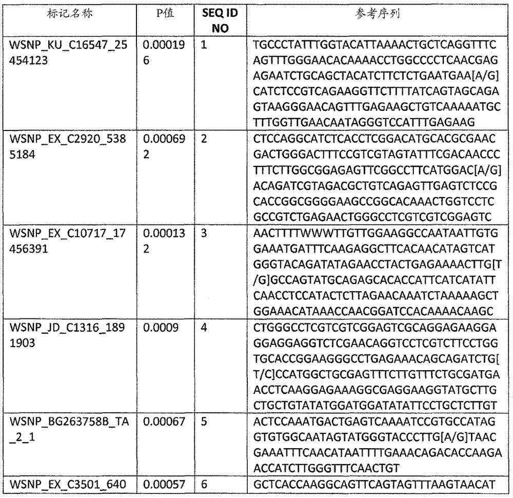 Molecular markers for various traits in wheat and methods of use