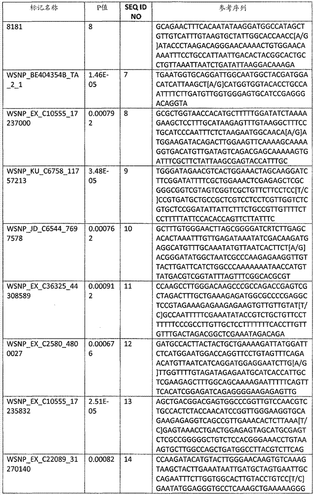 Molecular markers for various traits in wheat and methods of use