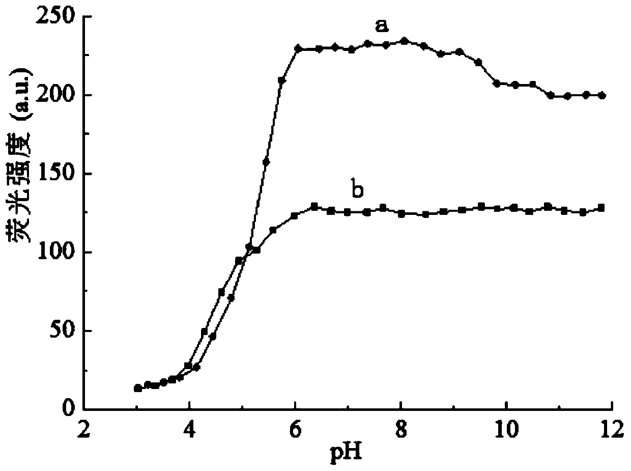 Fluorescent detection reagent and detection method for dichlorinated-1, 1'-dimethyl-4, 4'-dipyridyl