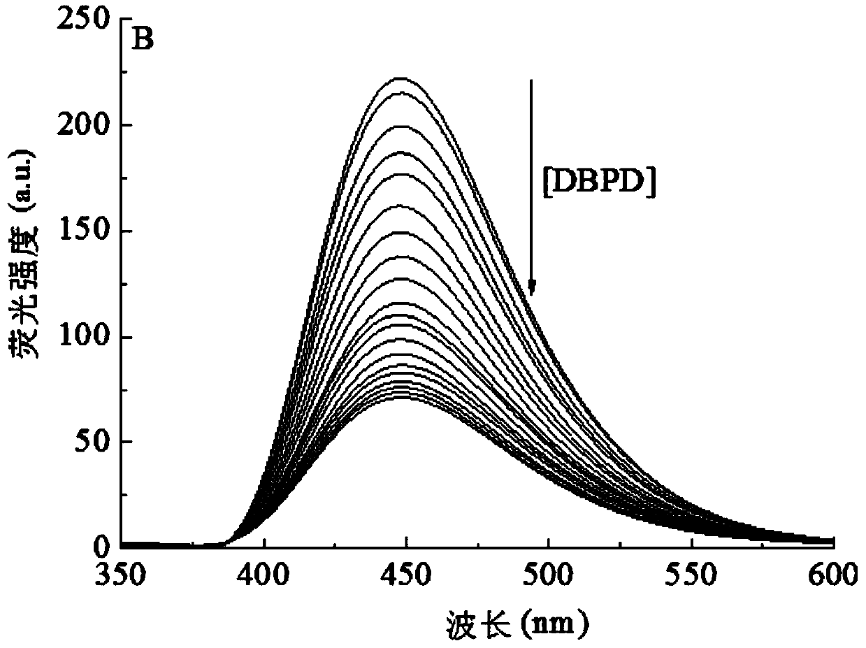 Fluorescent detection reagent and detection method for dichlorinated-1, 1'-dimethyl-4, 4'-dipyridyl