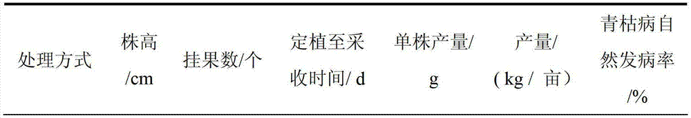 Compound microbial organic fertilizer and preparation method thereof