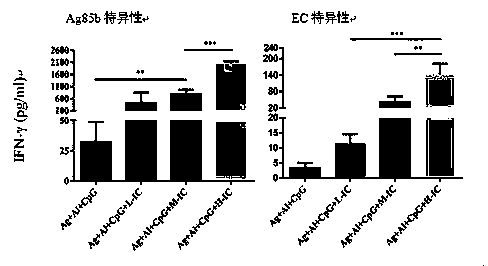 Reinforced tuberculosis subunit vaccine