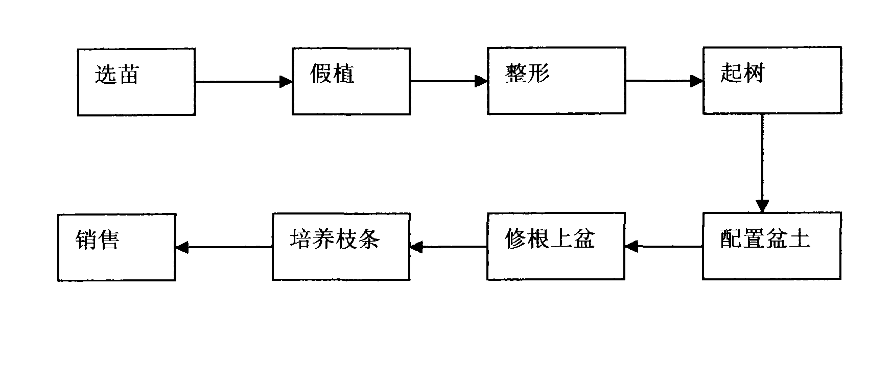 Method for culturing potted fruit tree crabapple