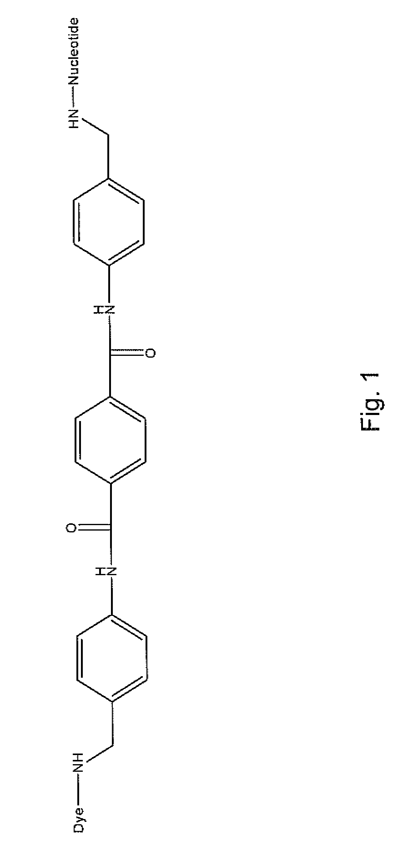 Labeled reactants and their uses