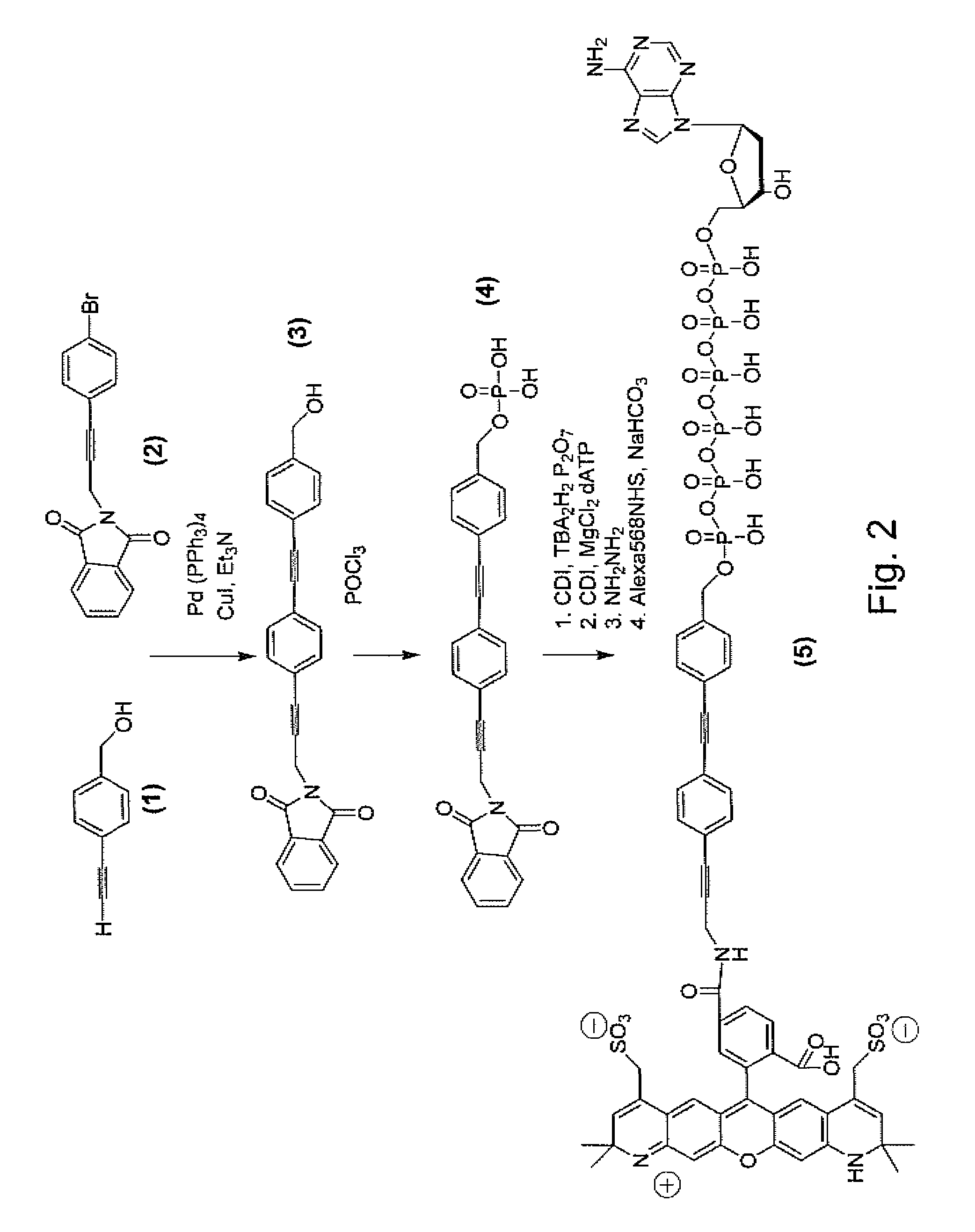 Labeled reactants and their uses