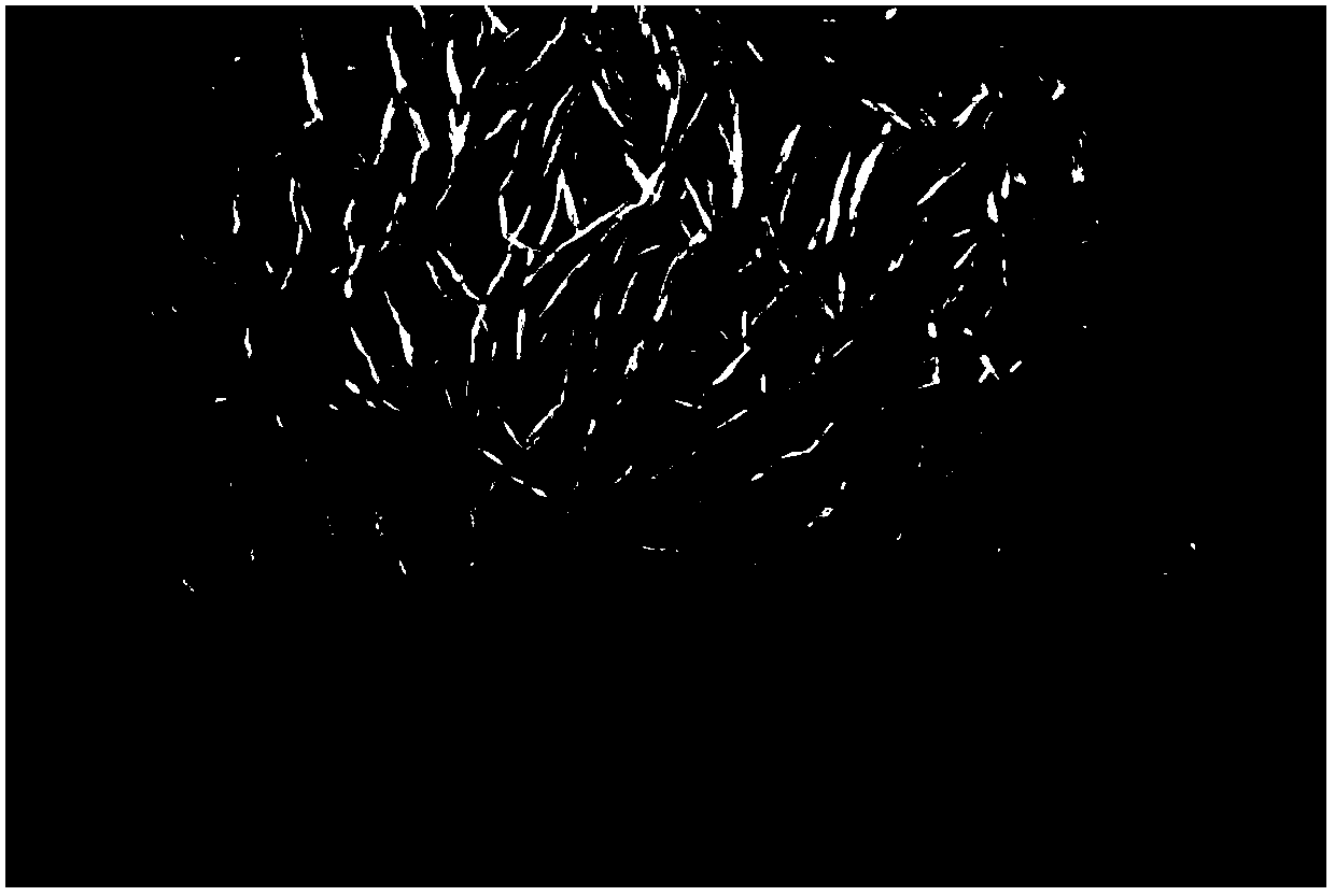 Nickel composite hydroxide and manufacturing method thereof