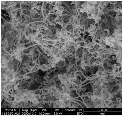 Method for catalyzing polymer with multi-metallic catalyst to compound carbon nano-tube in situ