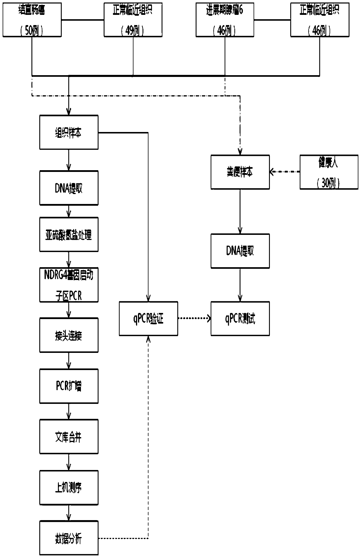 Use of the product for detecting the methylation site of the ndrg4 gene in the preparation of a product for the early detection of colorectal cancer