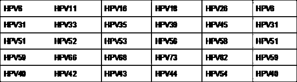 High-throughput sequencing detection method used for HPV typing and integration