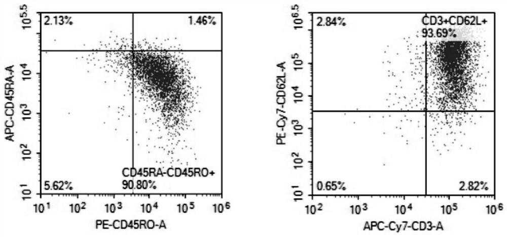 Application of memory lymphocyte population in the treatment of liver cancer