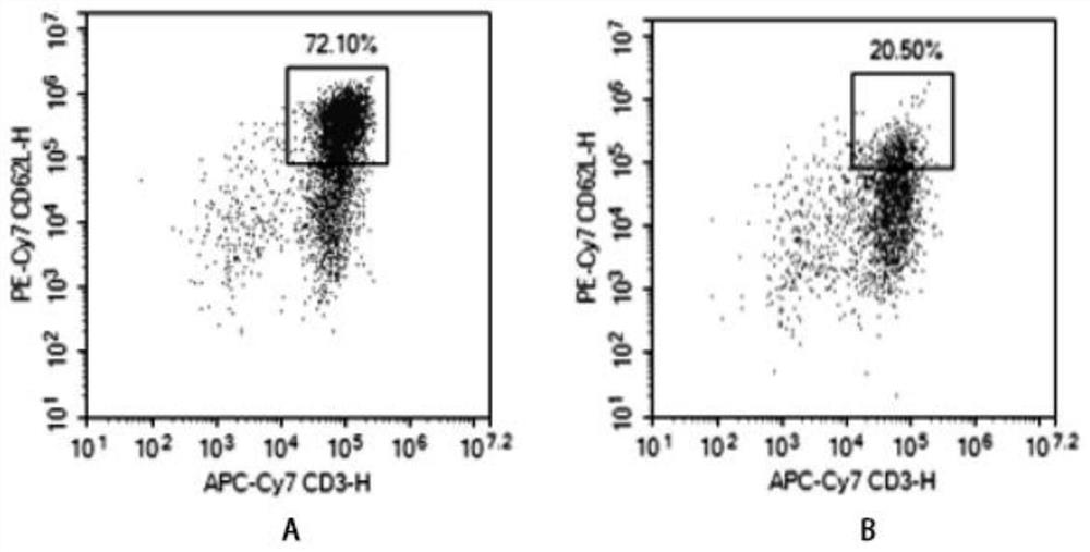 Application of memory lymphocyte population in the treatment of liver cancer