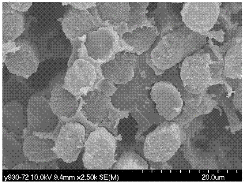 A kind of preparation method of water-based epoxy resin sizing agent for carbon fiber