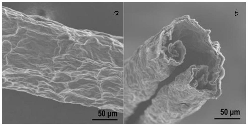 Self-curling preparation method and application of hollow graphene fibers