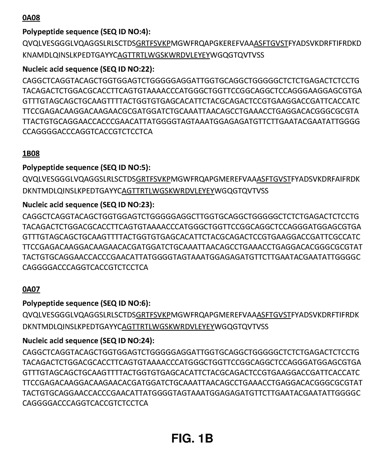 Anti-salmonella antibodies and uses thereof