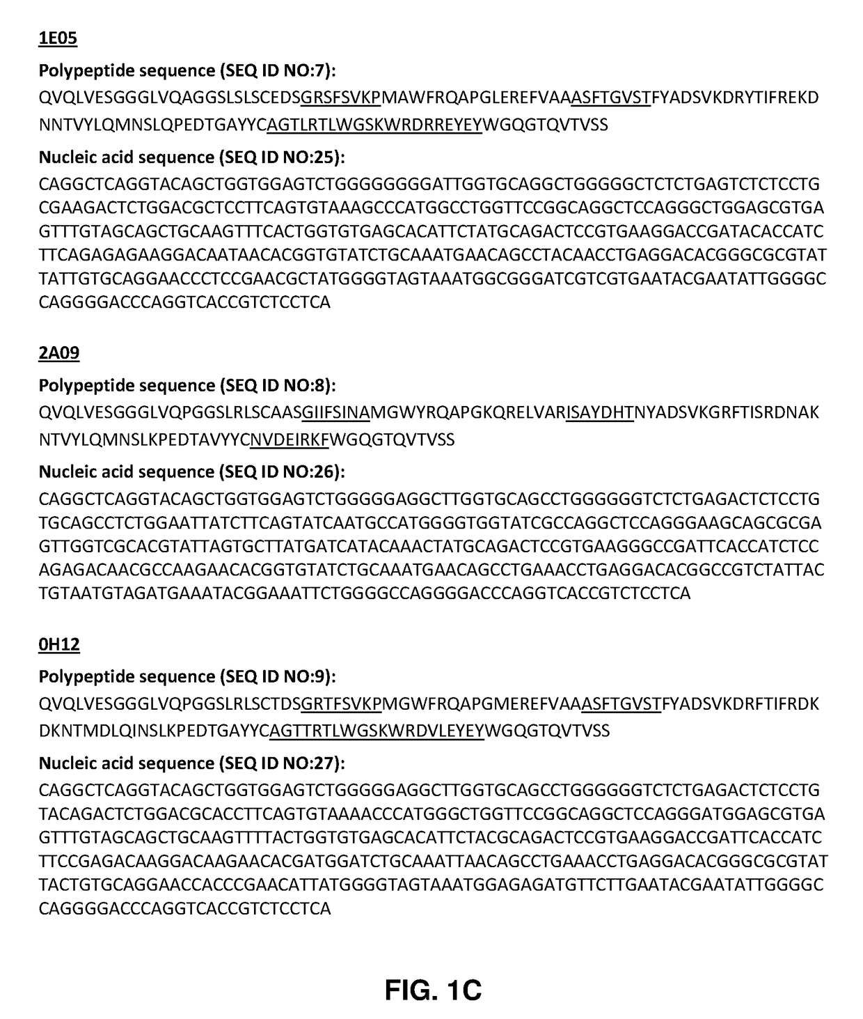 Anti-salmonella antibodies and uses thereof