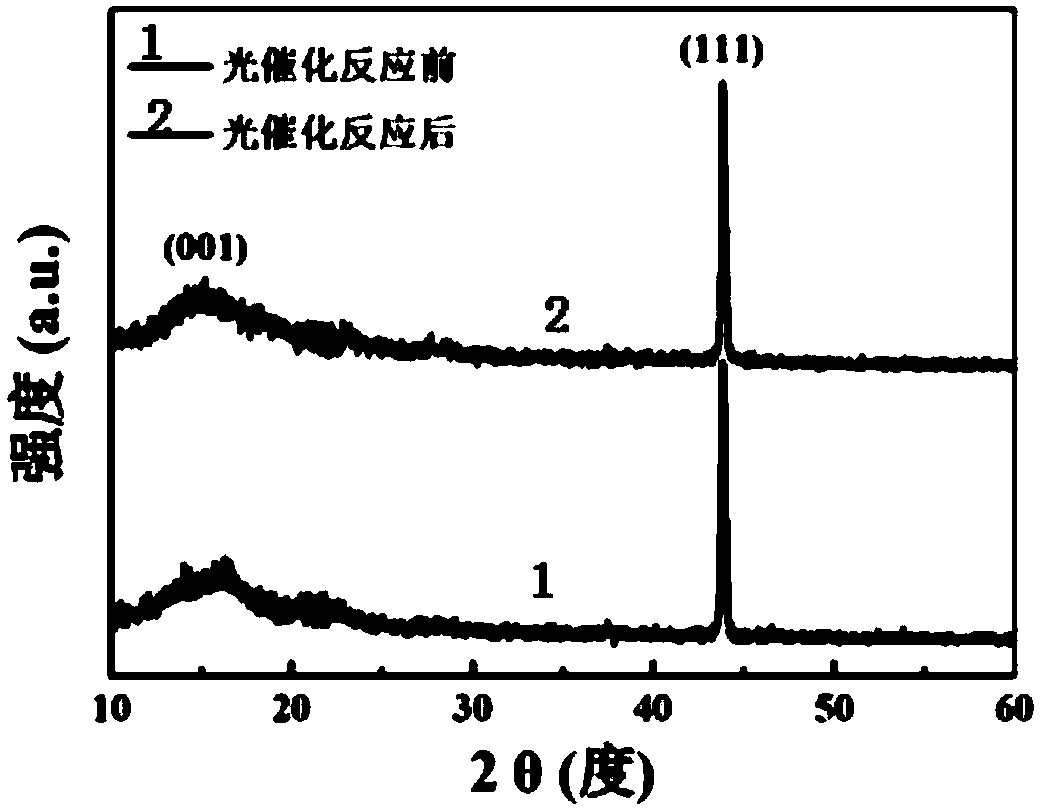 Preparation and photocatalytic application of transition metal disulfide thin film