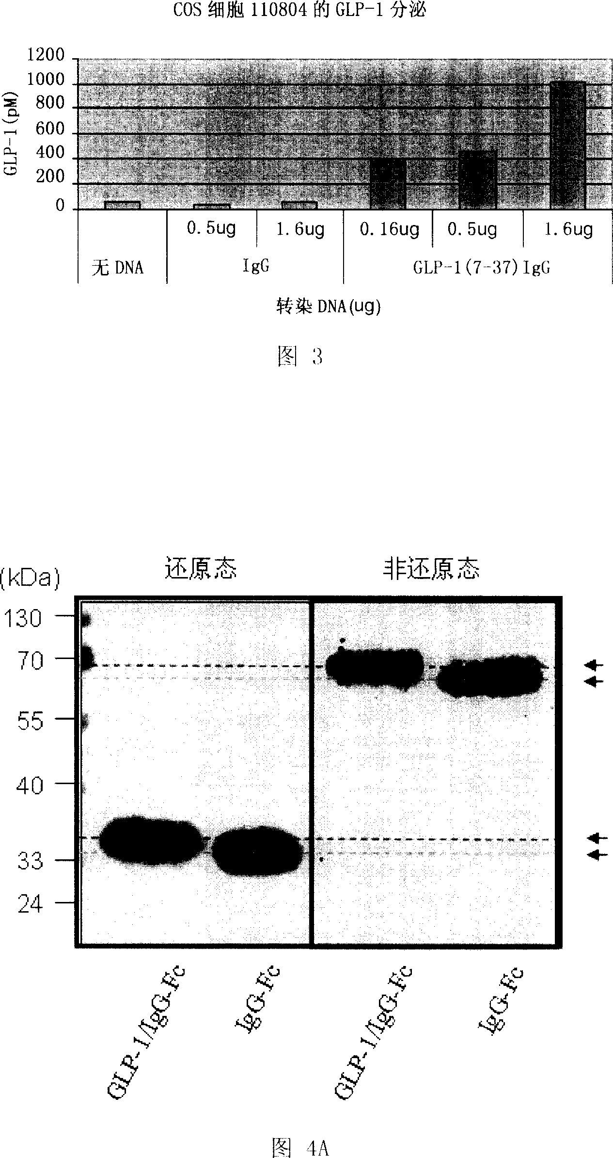 Medicine composition for preventing and treating diabetes mellitus and its use