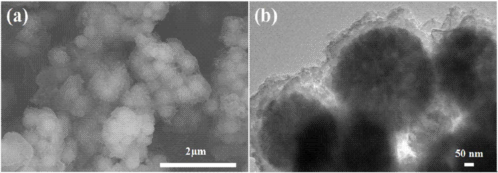 Method for efficiently reducing hexavalent chromium in water by magnetic electric conduction macromolecule synergistic microwave