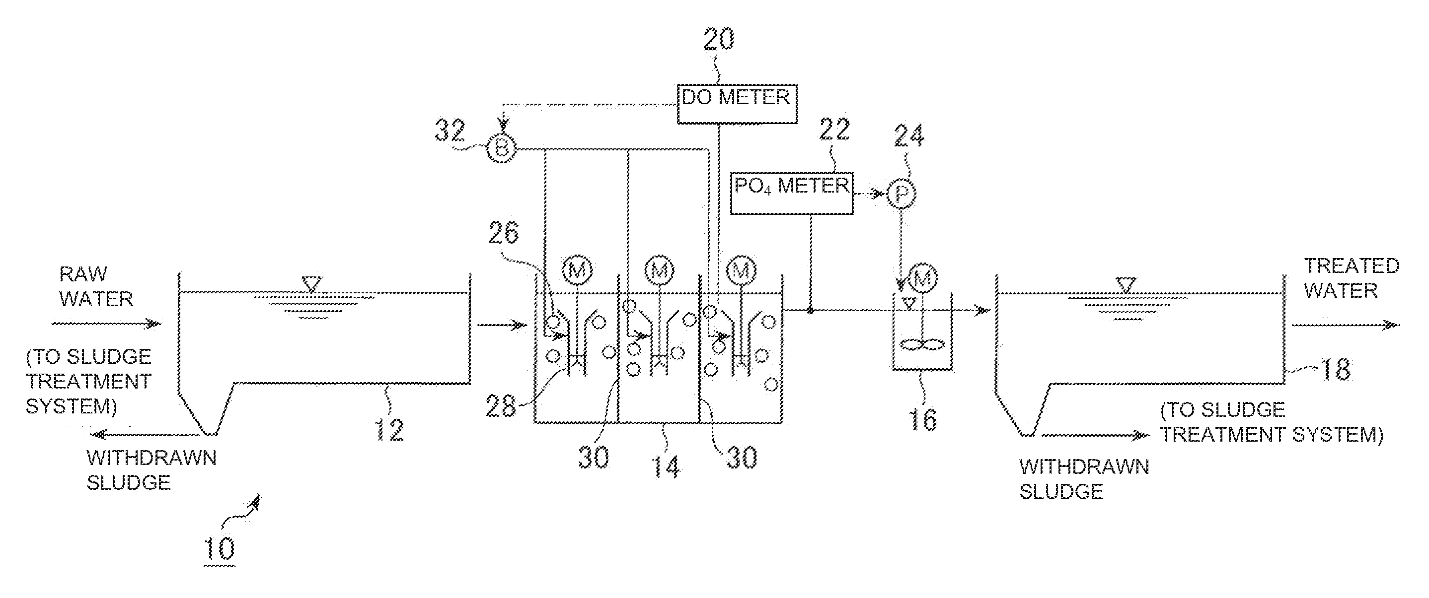 Method and device for removing biological nitrogen and support therefor