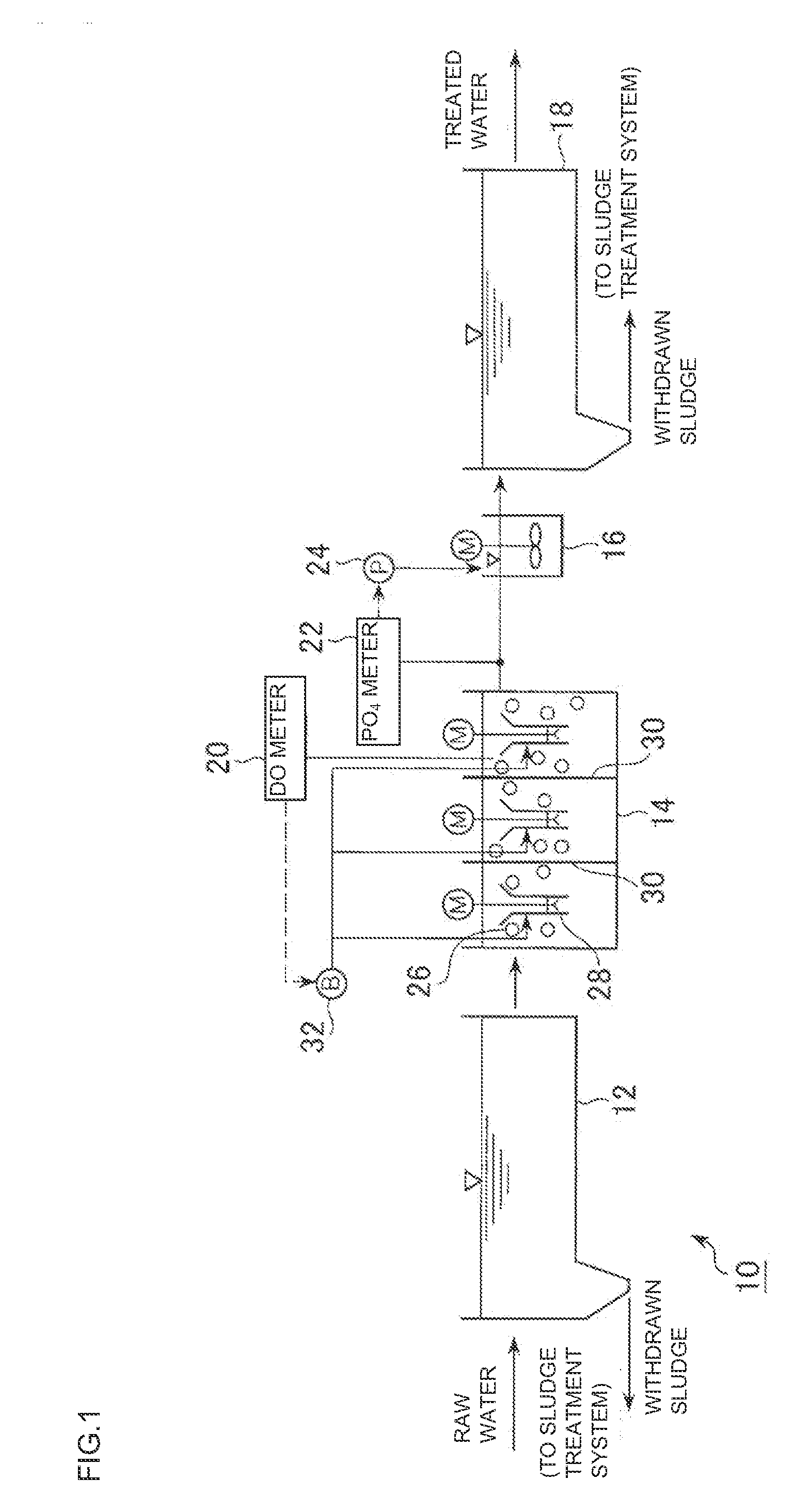 Method and device for removing biological nitrogen and support therefor