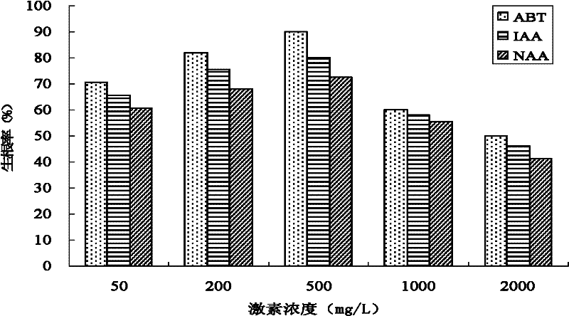 Artificial cultivation method of hemsley rockvine root