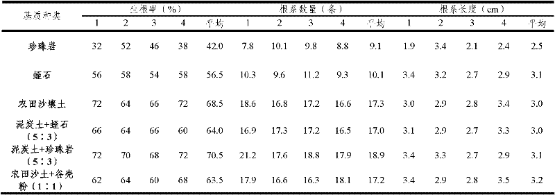 Artificial cultivation method of hemsley rockvine root