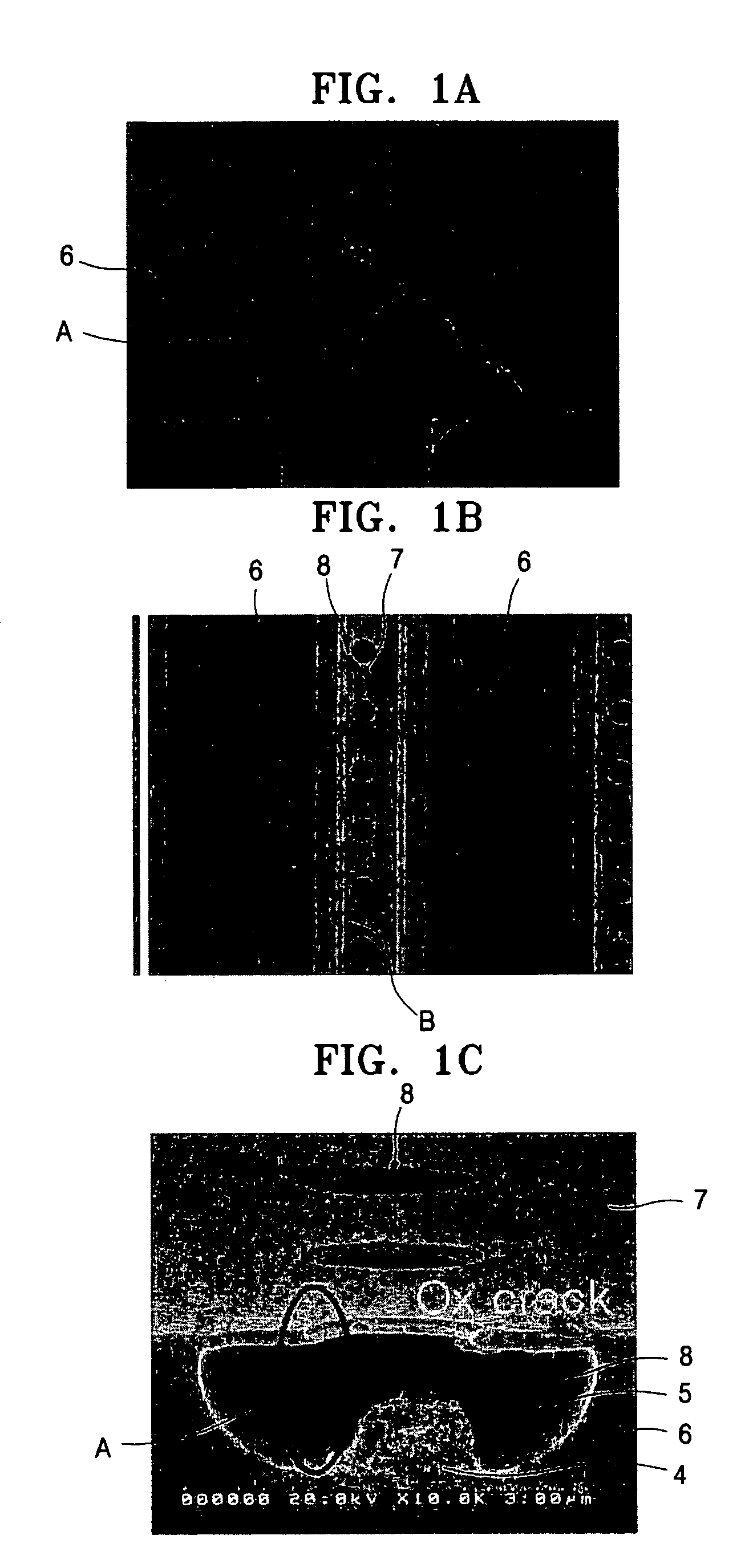 Method of growing carbon nanotubes and method of manufacturing field emission device using the same