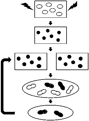 Construction and application of genome rearrangement technology of a sugar alcohol-producing yeast strain