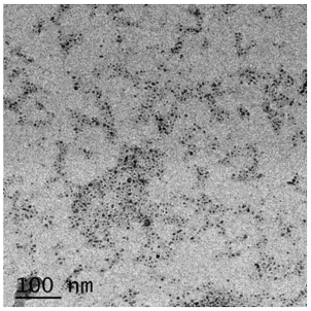 Ferrocene functionalized nano-catalyst as well as preparation method and application thereof