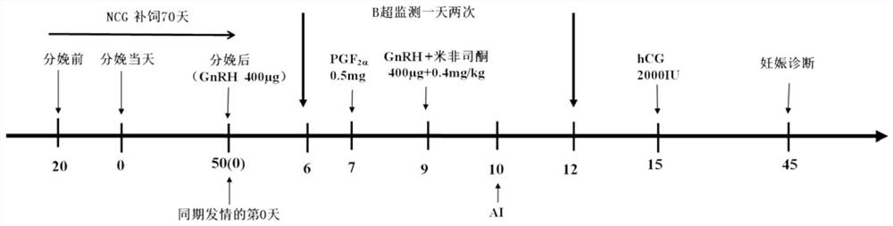 A treatment method for improving the effect of simultaneous estrus-timing insemination of dairy cows in summer