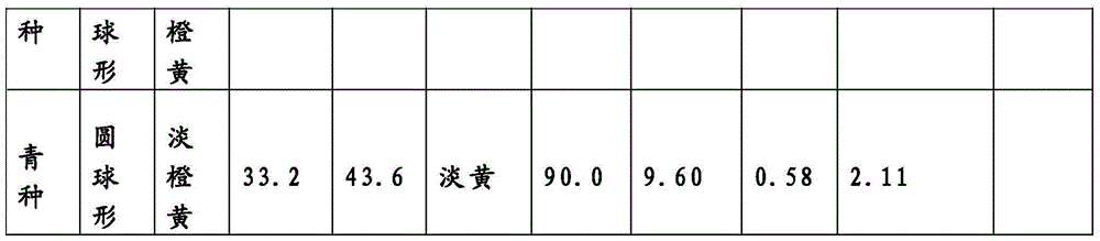 Loquat fruit wine and production method thereof