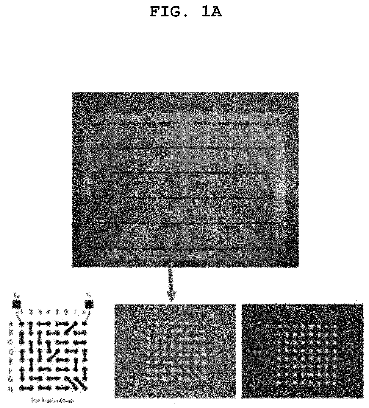 Substitution-type electroless gold plating solution containing purine or pyrimidine-based compound having carbonyl oxygen and substitution-type electroless gold plating method using the same